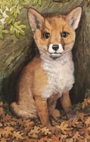 Red Fox print from painting by Isabel Clark