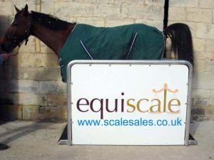 Visit Our ScaleSales Site For More Information